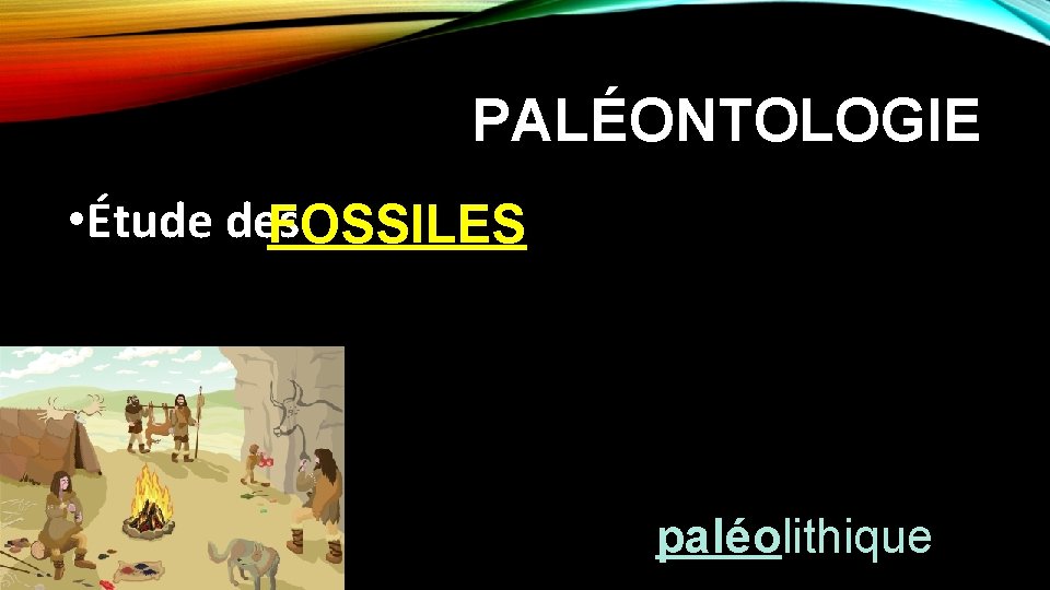 PALÉONTOLOGIE • Étude des FOSSILES paléolithique 