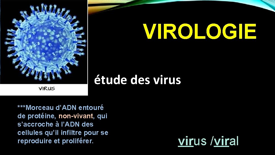 VIROLOGIE étude des virus ***Morceau d’ADN entouré de protéine, non-vivant, qui s’accroche à l’ADN
