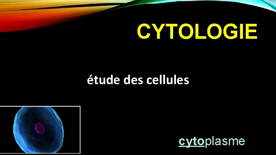 CYTOLOGIE étude des cellules cytoplasme 
