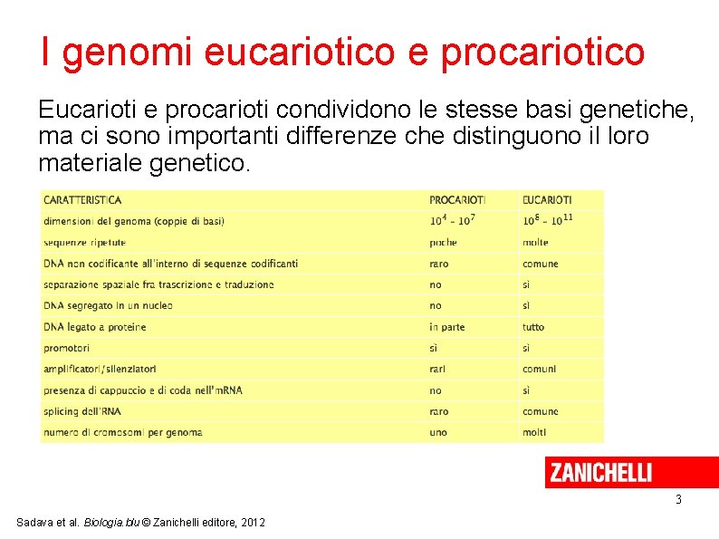 I genomi eucariotico e procariotico Eucarioti e procarioti condividono le stesse basi genetiche, ma