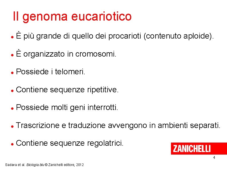 Il genoma eucariotico È più grande di quello dei procarioti (contenuto aploide). È organizzato