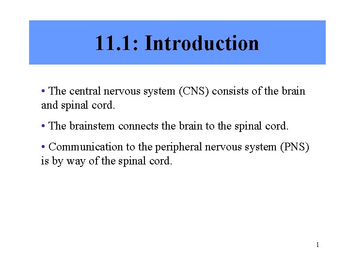 11. 1: Introduction • The central nervous system (CNS) consists of the brain and