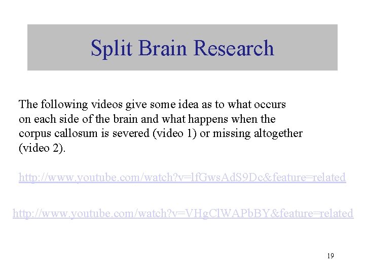 Split Brain Research The following videos give some idea as to what occurs on