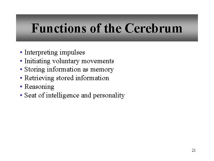 Functions of the Cerebrum • Interpreting impulses • Initiating voluntary movements • Storing information