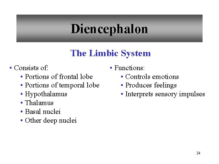 Diencephalon The Limbic System • Consists of: • Portions of frontal lobe • Portions