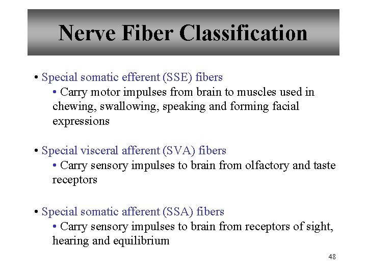 Nerve Fiber Classification • Special somatic efferent (SSE) fibers • Carry motor impulses from