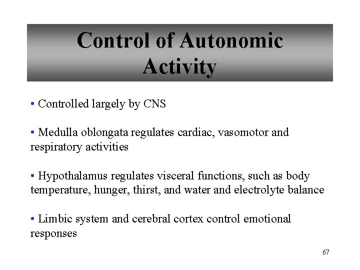Control of Autonomic Activity • Controlled largely by CNS • Medulla oblongata regulates cardiac,