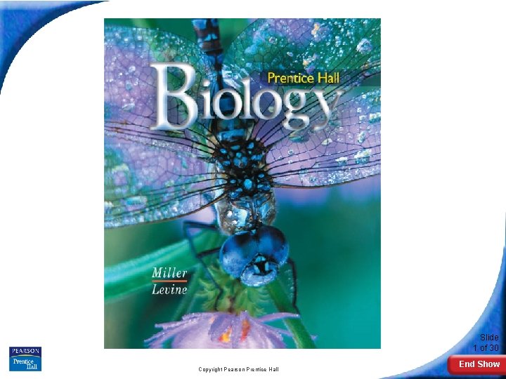 Biology Slide 1 of 30 Copyright Pearson Prentice Hall End Show 