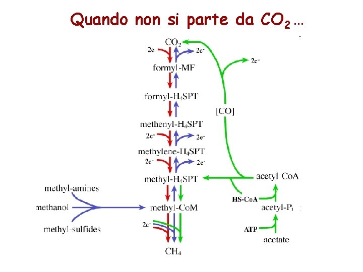 Quando non si parte da CO 2 … Quando non si parte da CO 2 …