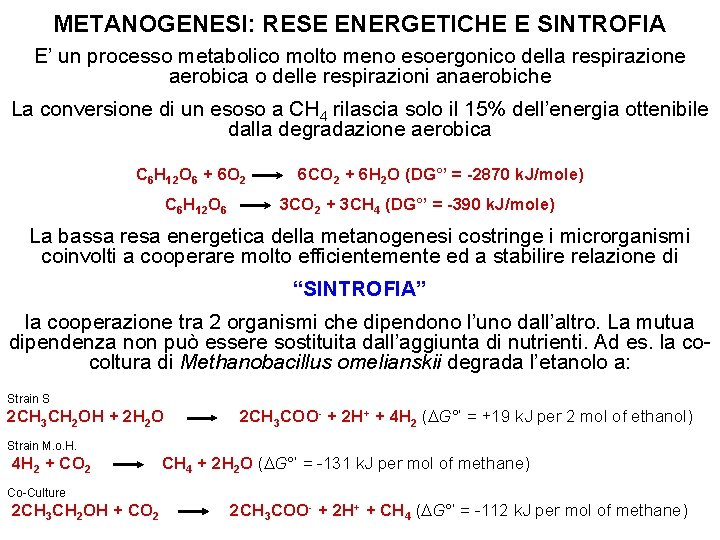 METANOGENESI: RESE ENERGETICHE E SINTROFIA E’ un processo metabolico molto meno esoergonico della respirazione METANOGENESI: RESE ENERGETICHE E SINTROFIA E’ un processo metabolico molto meno esoergonico della respirazione