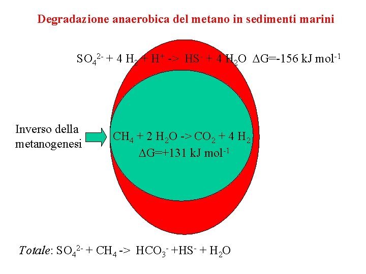 Degradazione anaerobica del metano in sedimenti marini SO 42 - + 4 H 2 Degradazione anaerobica del metano in sedimenti marini SO 42 - + 4 H 2
