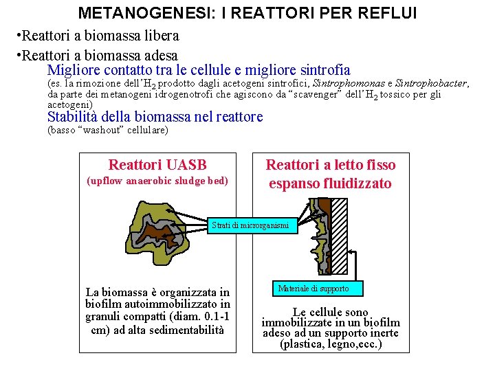 METANOGENESI: I REATTORI PER REFLUI • Reattori a biomassa libera • Reattori a biomassa METANOGENESI: I REATTORI PER REFLUI • Reattori a biomassa libera • Reattori a biomassa