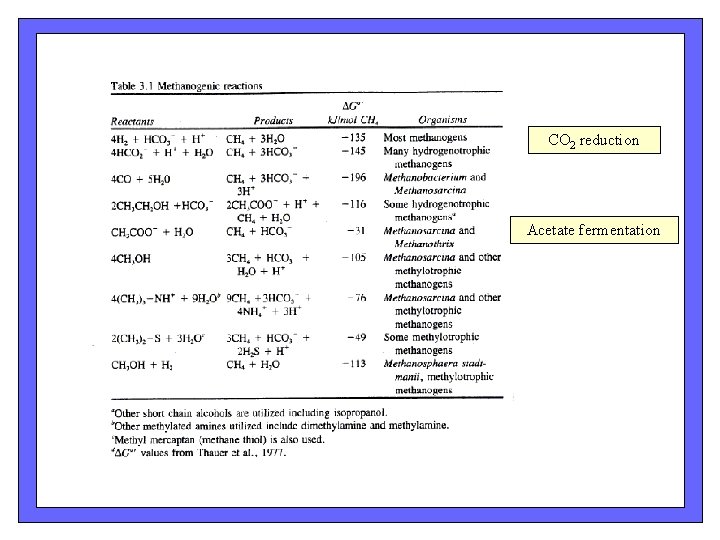 CO 2 reduction Acetate fermentation CO 2 reduction Acetate fermentation
