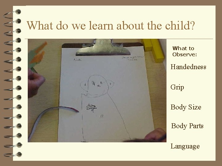 What do we learn about the child? What to Observe: Handedness Grip Body Size