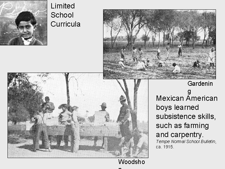 Limited School Curricula Gardenin g Mexican American boys learned subsistence skills, such as farming