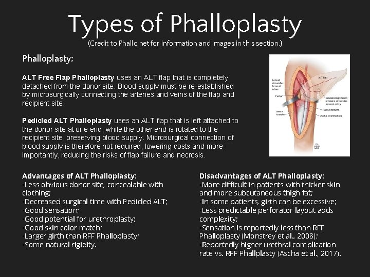 Types of Phalloplasty (Credit to Phallo. net for information and images in this section.