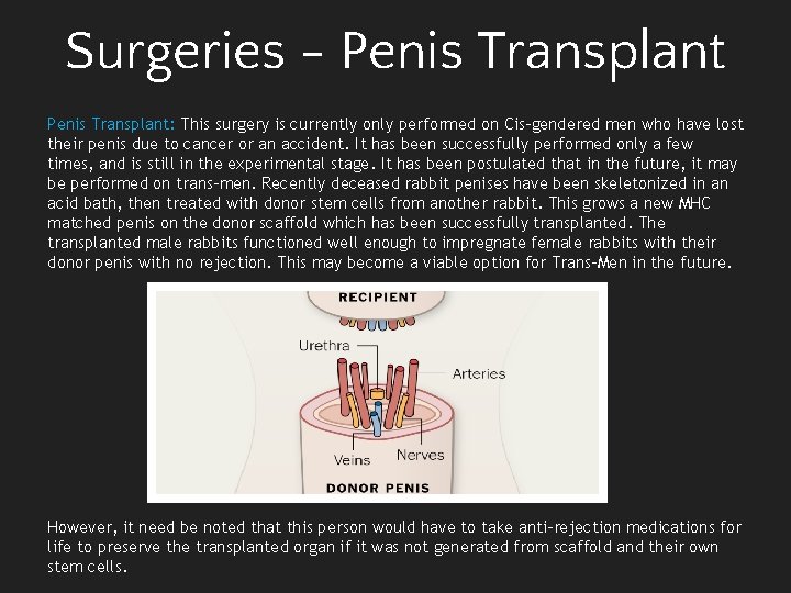 Surgeries - Penis Transplant: This surgery is currently only performed on Cis-gendered men who