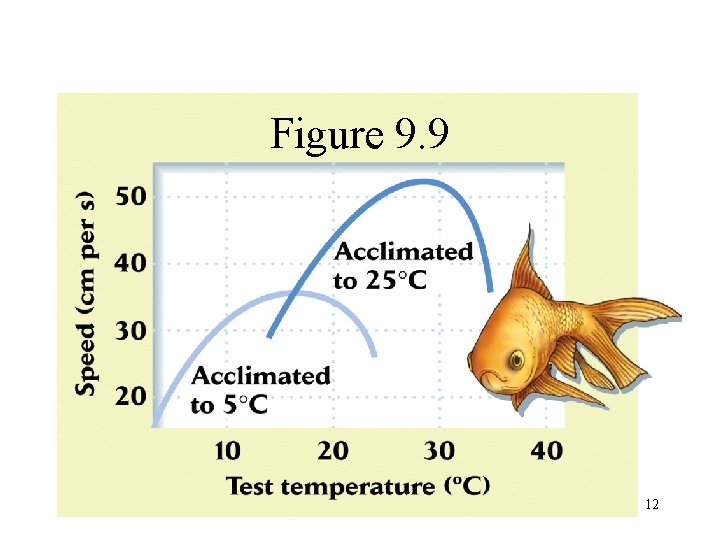 Figure 9. 9 12 