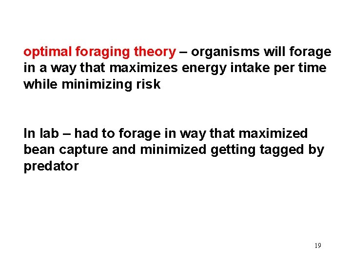 optimal foraging theory – organisms will forage in a way that maximizes energy intake