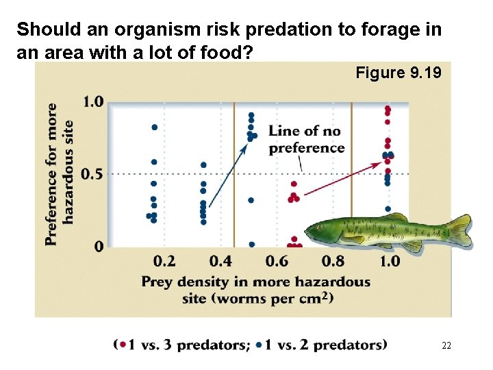 Should an organism risk predation to forage in an area with a lot of