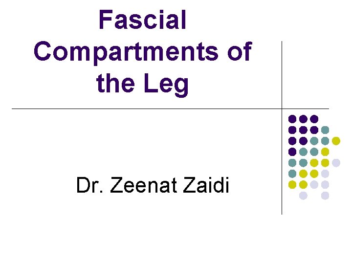 Fascial Compartments of the Leg Dr. Zeenat Zaidi 