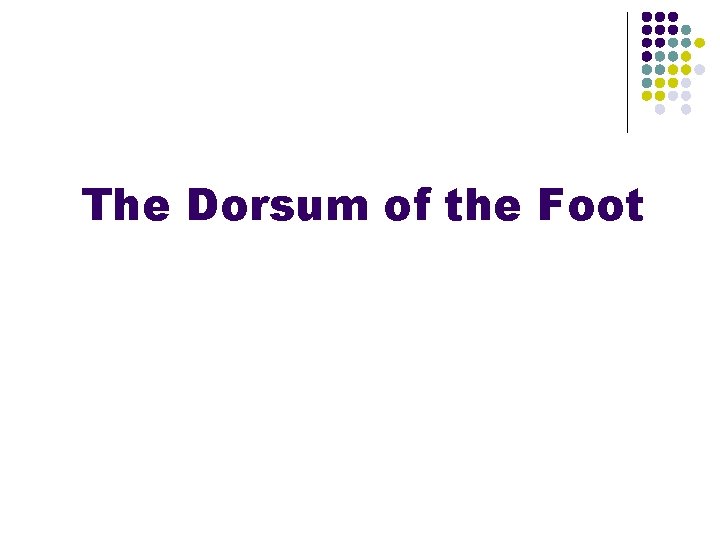 The Dorsum of the Foot 
