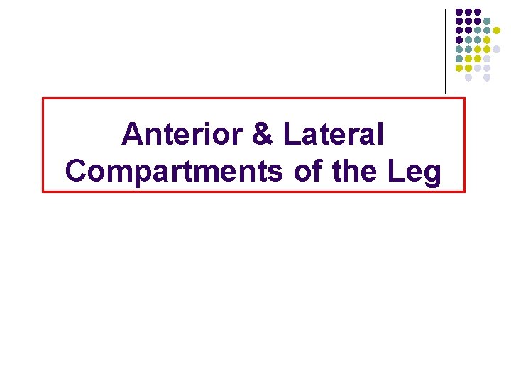 Anterior & Lateral Compartments of the Leg 