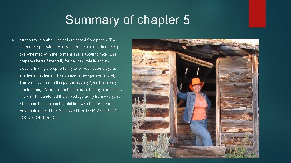 Summary of chapter 5 After a few months, Hester is released from prison. The Summary of chapter 5 After a few months, Hester is released from prison. The