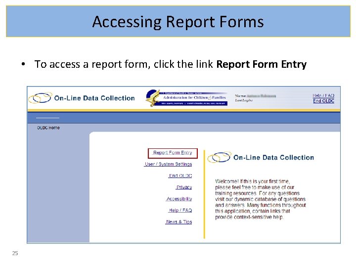 Accessing Report Forms • To access a report form, click the link Report Form