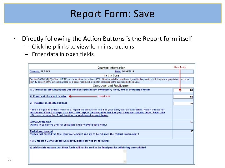 Report Form: Save • Directly following the Action Buttons is the Report form itself