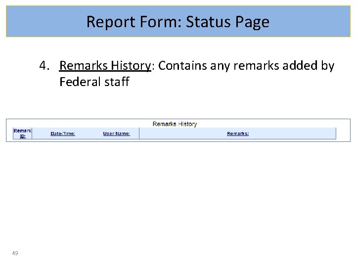 Report Form: Status Page 4. Remarks History: Contains any remarks added by Federal staff