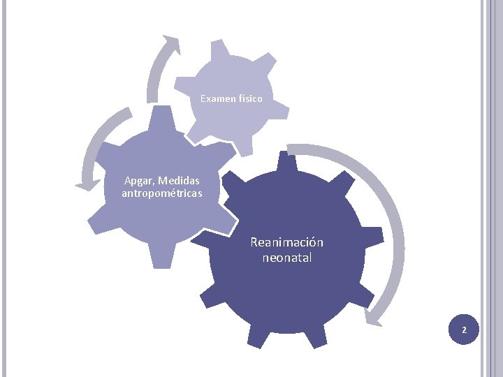 Examen físico Apgar, Medidas antropométricas Reanimación neonatal 2 