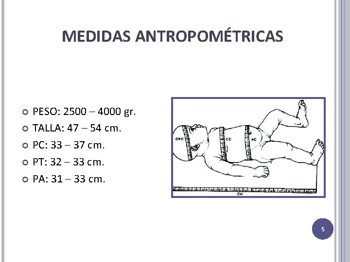 MEDIDAS ANTROPOMÉTRICAS PESO: 2500 – 4000 gr. TALLA: 47 – 54 cm. PC: 33