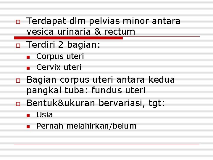 o o Terdapat dlm pelvias minor antara vesica urinaria & rectum Terdiri 2 bagian: