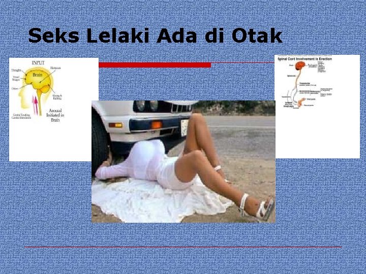 Seks Lelaki Ada di Otak 