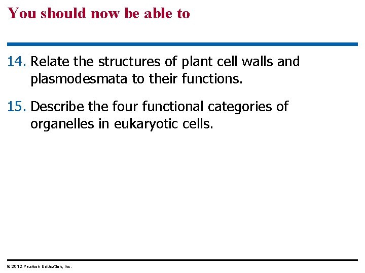 You should now be able to 14. Relate the structures of plant cell walls