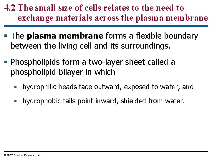 4. 2 The small size of cells relates to the need to exchange materials