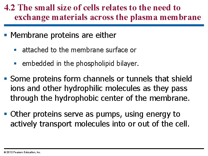 4. 2 The small size of cells relates to the need to exchange materials