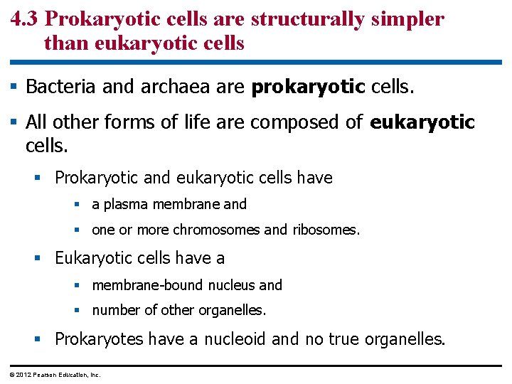 4. 3 Prokaryotic cells are structurally simpler than eukaryotic cells § Bacteria and archaea