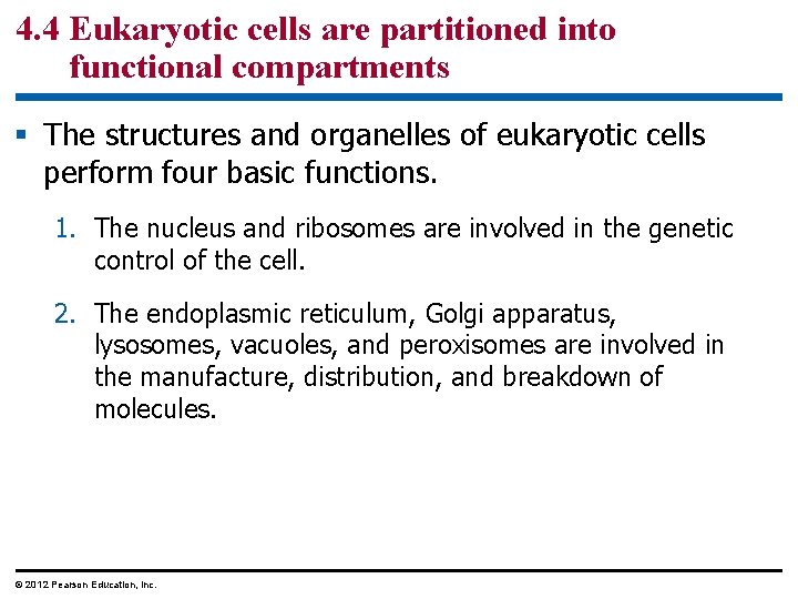 4. 4 Eukaryotic cells are partitioned into functional compartments § The structures and organelles