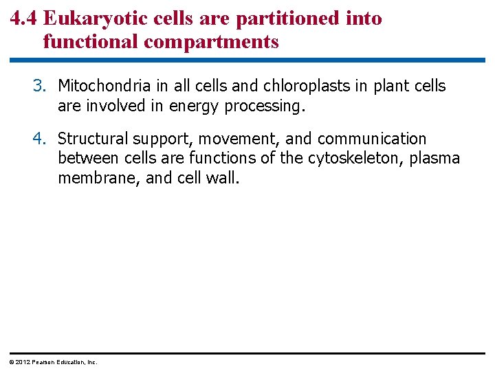 4. 4 Eukaryotic cells are partitioned into functional compartments 3. Mitochondria in all cells