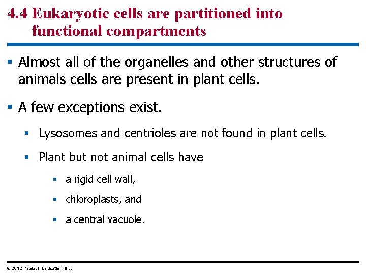 4. 4 Eukaryotic cells are partitioned into functional compartments § Almost all of the