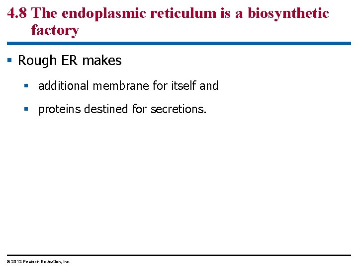 4. 8 The endoplasmic reticulum is a biosynthetic factory § Rough ER makes §