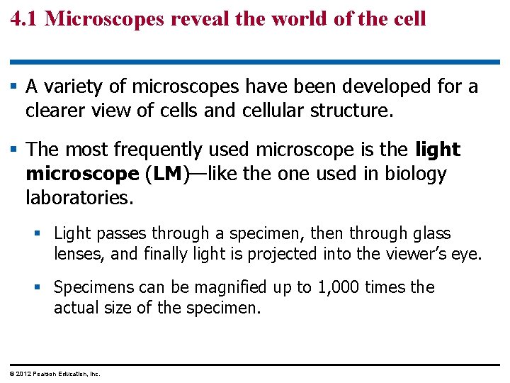 4. 1 Microscopes reveal the world of the cell § A variety of microscopes
