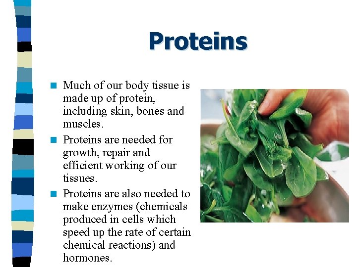 Proteins Much of our body tissue is made up of protein, including skin, bones