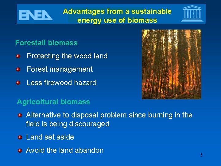 Advantages from a sustainable energy use of biomass Forestall biomass Protecting the wood land