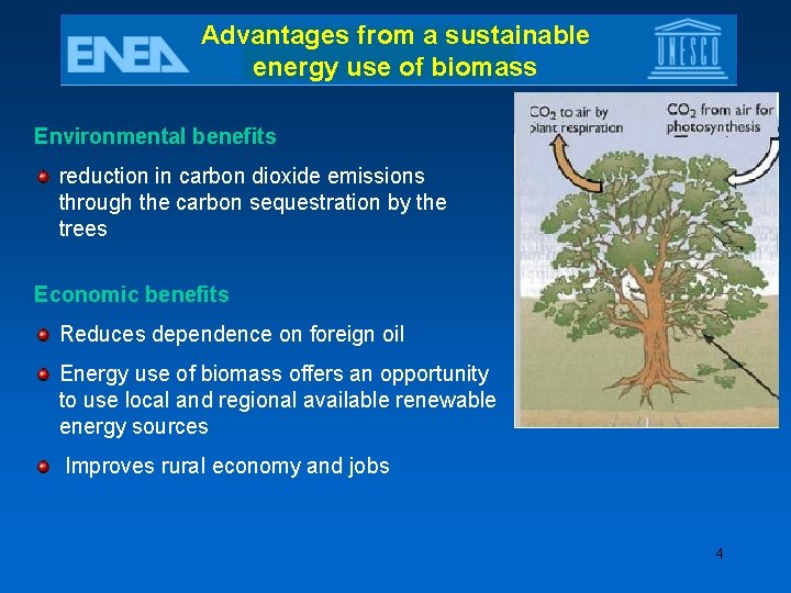 Advantages from a sustainable energy use of biomass Environmental benefits reduction in carbon dioxide