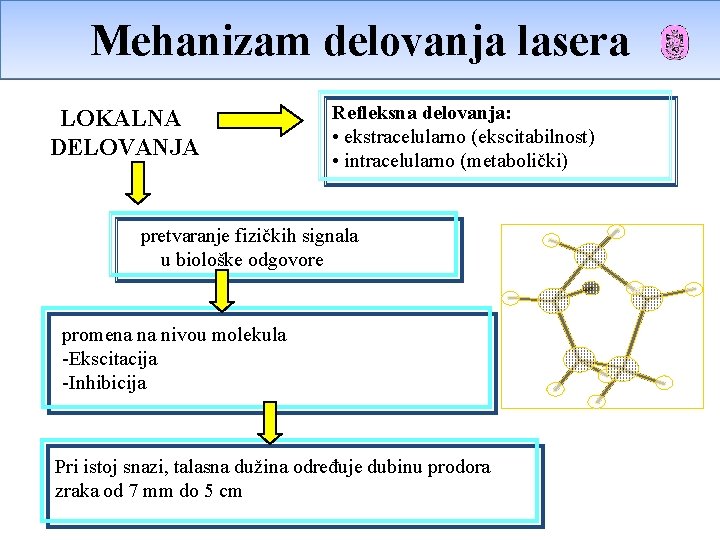Mehanizam delovanja lasera LOKALNA DELOVANJA Refleksna delovanja: • ekstracelularno (ekscitabilnost) • intracelularno (metabolički) pretvaranje Mehanizam delovanja lasera LOKALNA DELOVANJA Refleksna delovanja: • ekstracelularno (ekscitabilnost) • intracelularno (metabolički) pretvaranje