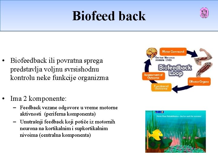 FIZIKALNA Biofeed TERAPIJA back • Biofeedback ili povratna sprega predstavlja voljnu svrsishodnu kontrolu neke FIZIKALNA Biofeed TERAPIJA back • Biofeedback ili povratna sprega predstavlja voljnu svrsishodnu kontrolu neke