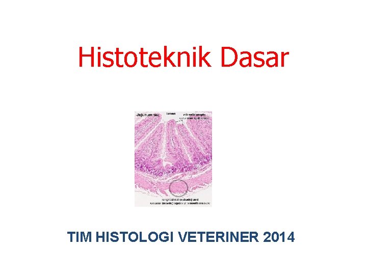 Histoteknik Dasar TIM HISTOLOGI VETERINER 2014 